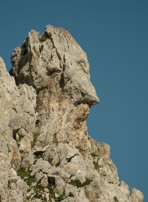 Sculture naturali